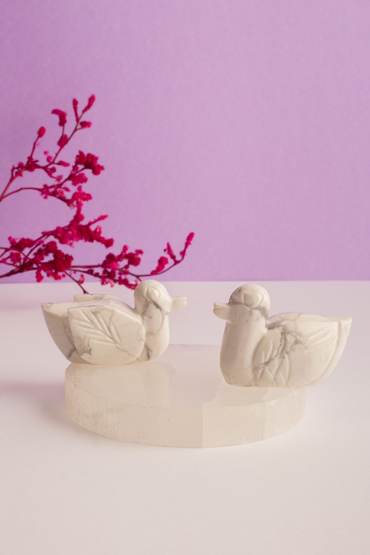 Howlite Duck Pair