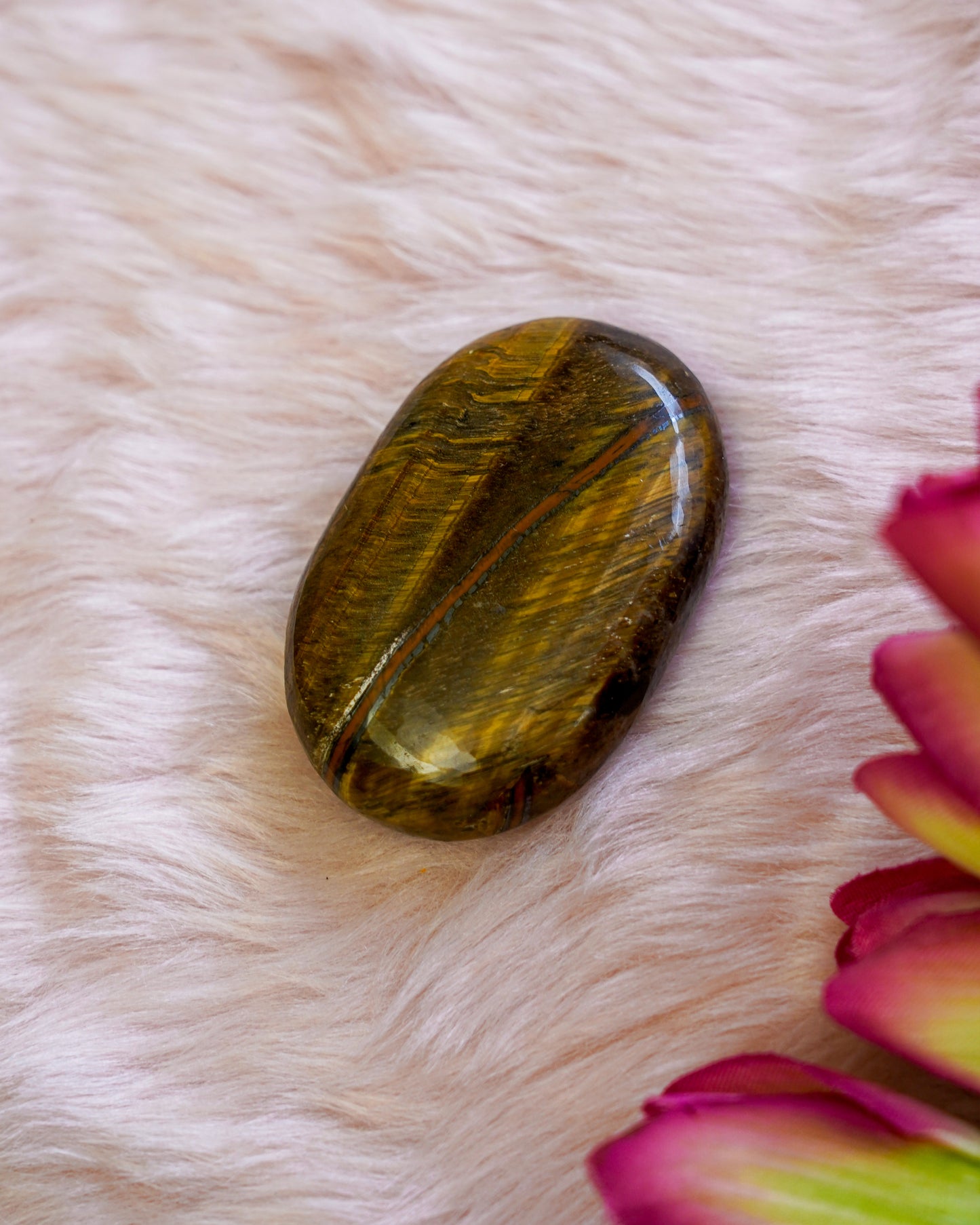 Tiger Eye Palm Stone