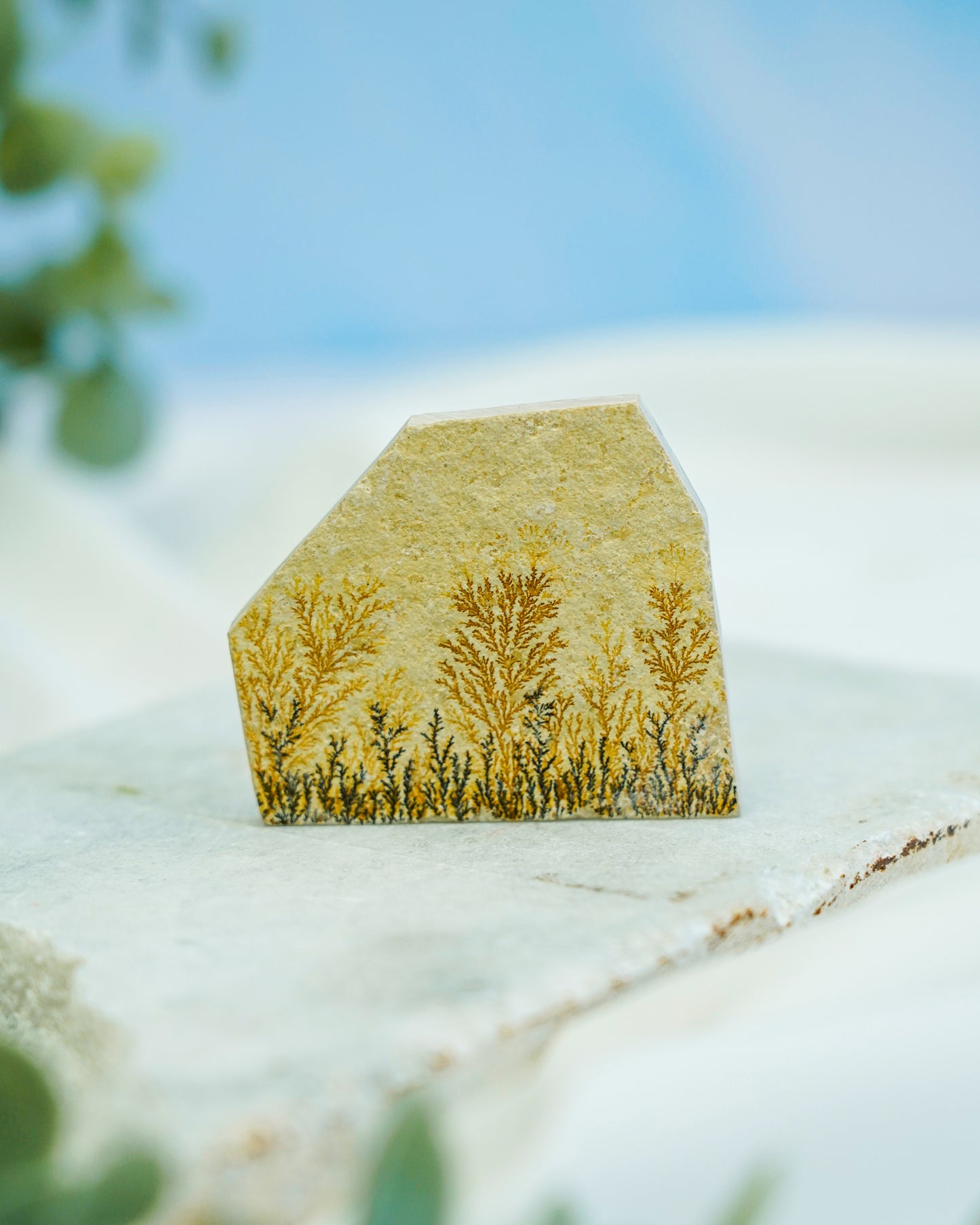 Limestone Slab