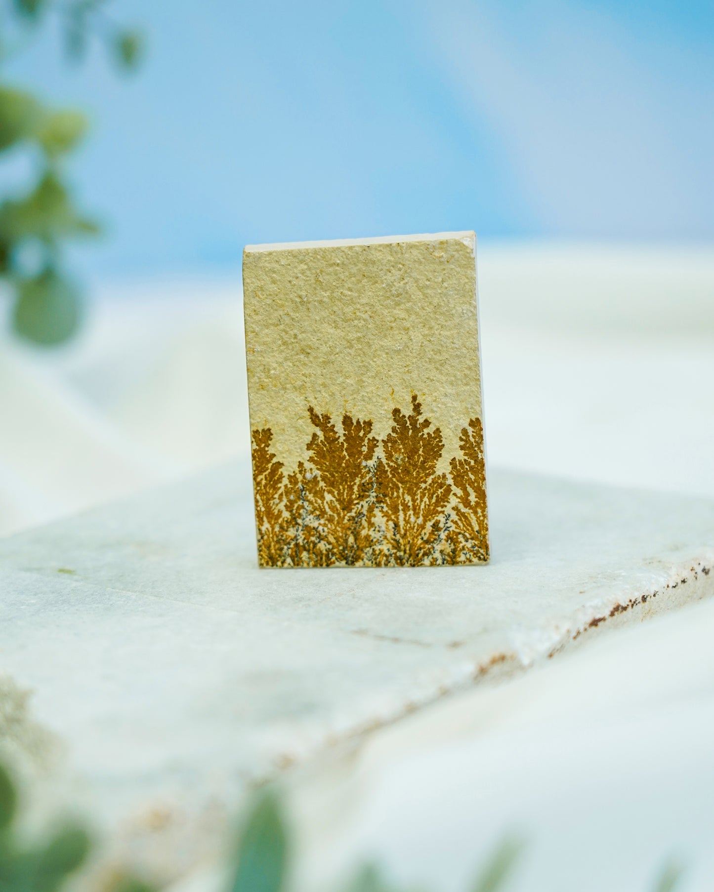 Limestone Slab