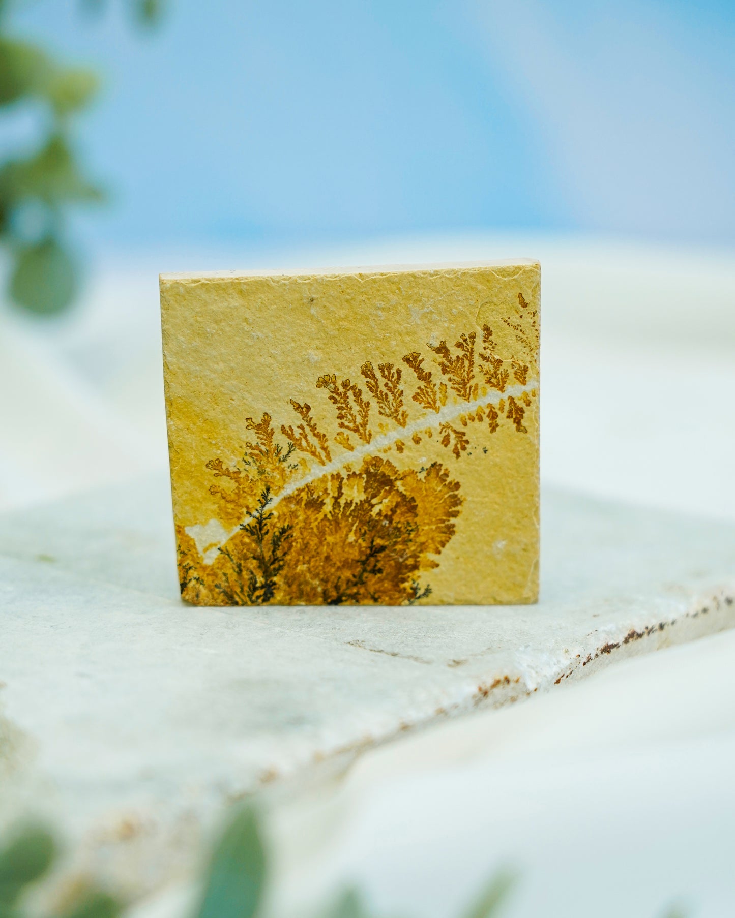 Limestone Slab