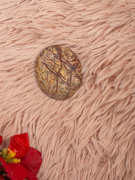 Spider Web Jasper Palm Stone